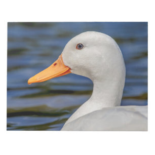 White Mallard Duck Notepad