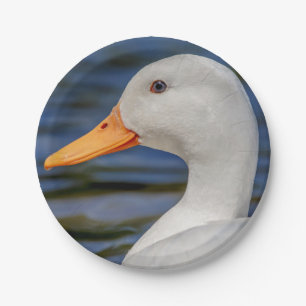 White Mallard Duck Paper Plate