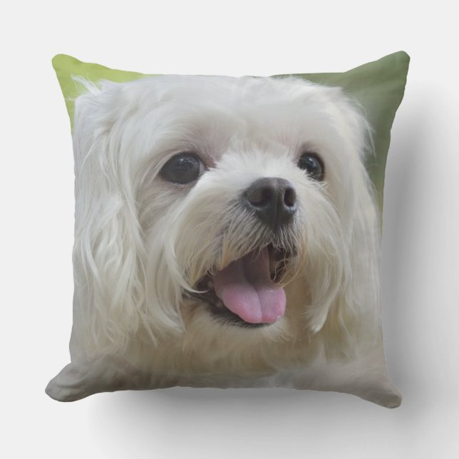 White Maltese Dog Cushion (Front)