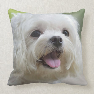 White Maltese Dog Cushion