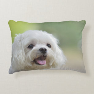 White Maltese Dog Decorative Cushion