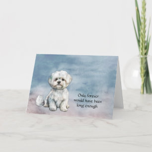 White Maltese Dog Sympathy Card