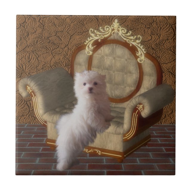 White Maltese Puppy And Chair Dog Tile (Front)