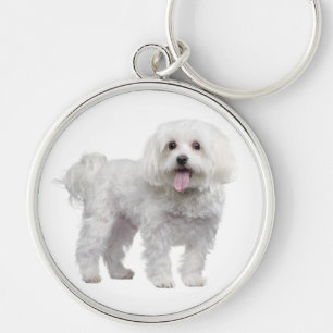 White Maltese Puppy Dog Custom Keychain