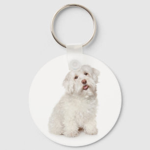White Maltese Puppy Dog Love Custom Keychain