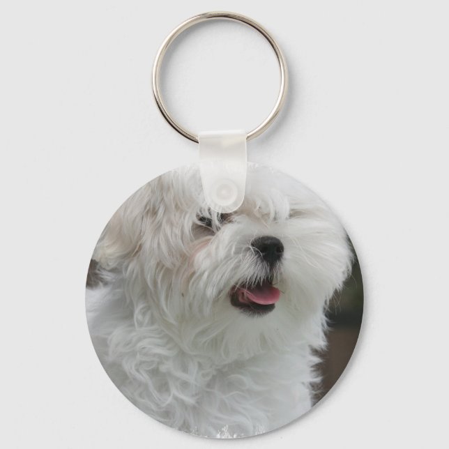 White Maltese Puppy Keychain (Front)