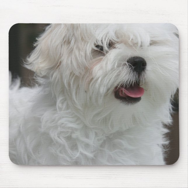 White Maltese Puppy Mouse Pad (Front)