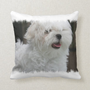 White Maltese Puppy Pillow