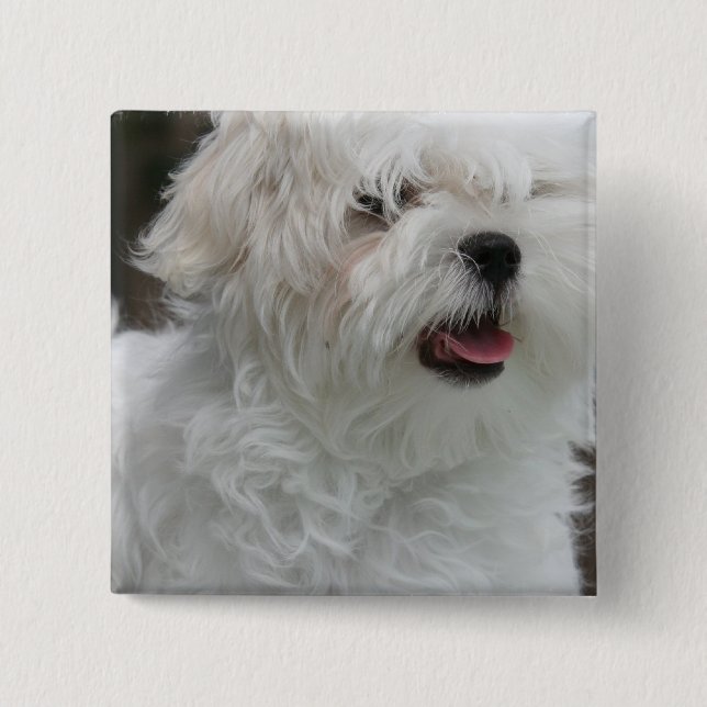 White Maltese Puppy Square Pin (Front)