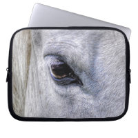 White Mare Horse's Eye Animal-lover Photo