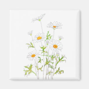 white Margaret daisy ink and watercolor Magnet