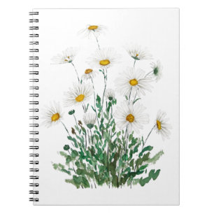 white Margaret daisy watercolor Notebook