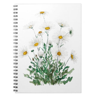 white Margaret daisy watercolor Notebook