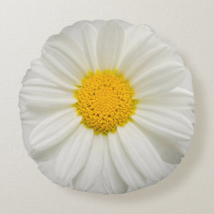 White Marguerite Daisy Chrysanthemum Round Pillow
