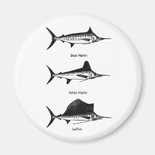 White Marlin - Blue Marlin - Sailfish Logo Magnet