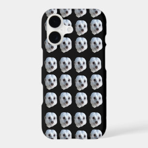 White Meerkat Faces,