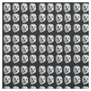 White Meerkat Faces On Black, Fabric
