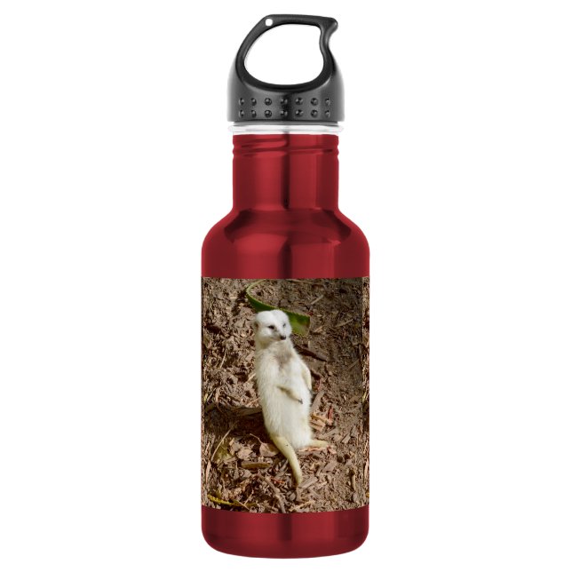 White Meerkat Standing, 532 Ml Water Bottle (Front)
