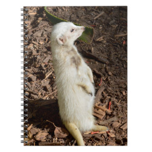 White Meerkat Standing , Notebook