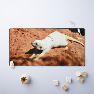 White Meerkat Stretch, Desk Mat