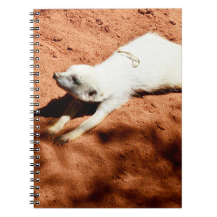 White Meerkat Stretching, Notebook