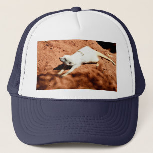 White Meerkat Stretching, Truckers Hat