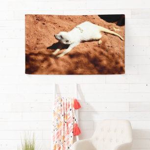 White Meerkat Stretching, Wall Banner