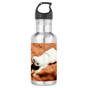 White Meerkat Stretching, Water Bottle