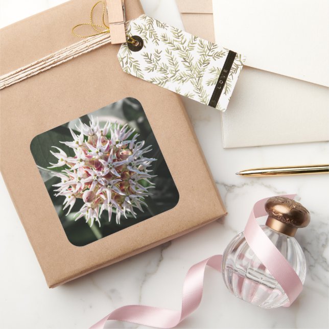 White Milkweed Floral Blossoms Square Sticker (Gifting)