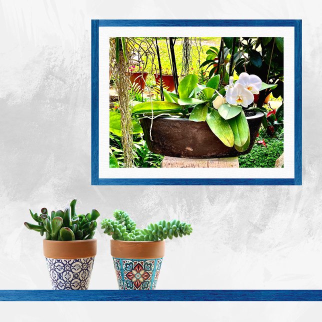 White Moon Orchid Mexican Garden Poster (Creator Uploaded)