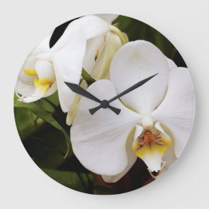 White Moon Orchid (Phalaenopsis Aphrodite) Large Clock