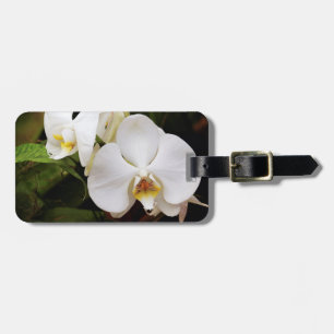 White Moon Orchid (Phalaenopsis Aphrodite) Luggage Tag
