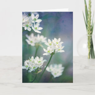 White Morning Blossoms Scripture Card Psalm 143:8