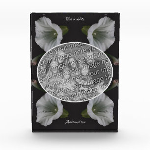 White Morning Glory Flower Create Your Own Photo Block