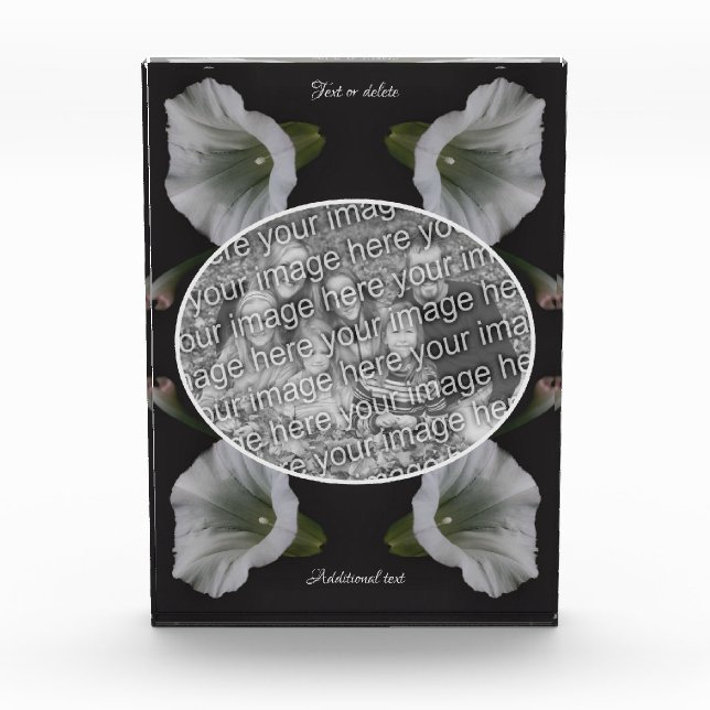 White Morning Glory Flower Create Your Own  Photo Block (Front)