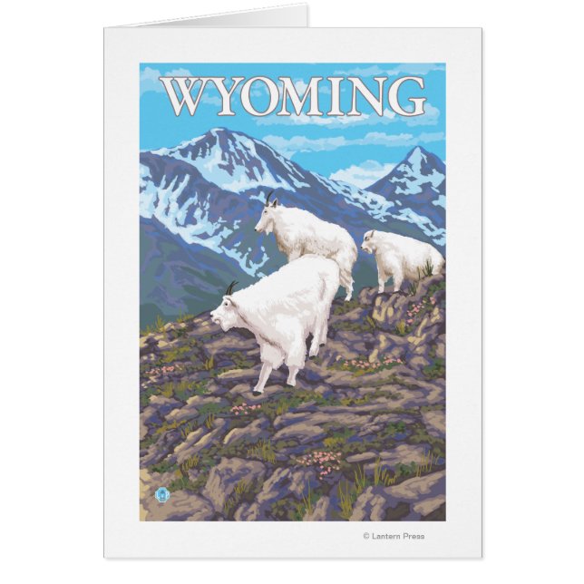 White Mountain Goat FamilyWyoming (Front)