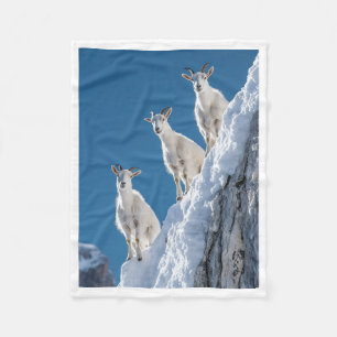 White Mountain Goats on Snowy Cliff Fleece Blanket