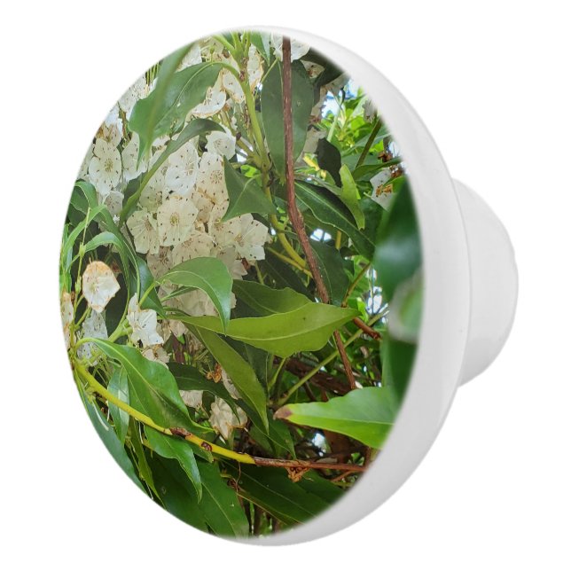 White Mountain Laurel  Ceramic Knob (Right)