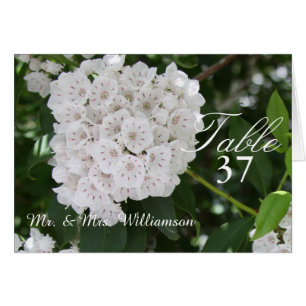 White Mountain Laurel Wedding Table Tent Cards