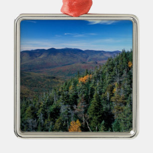 White Mountain N.F., NH. The view from near Metal Tree Decoration