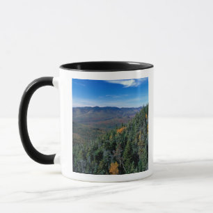 White Mountain N.F., NH. The view from near Mug