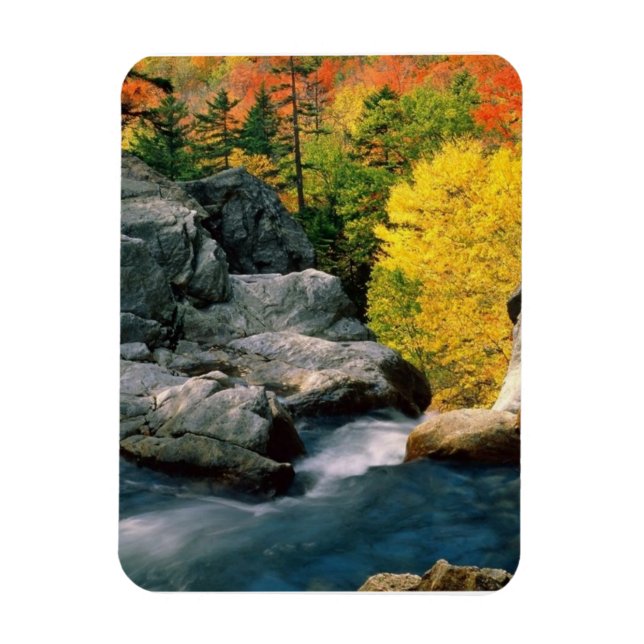 White Mountain National Forest, NH Magnet (Vertical)