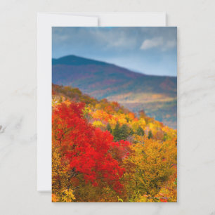 White Mountains National Forest