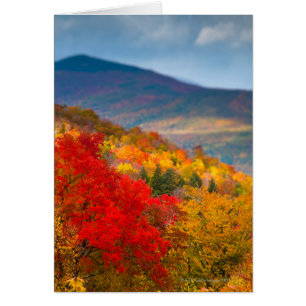 White Mountains National Forest