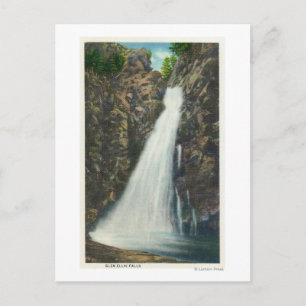 White Mountains Nat'l Forest Postcard