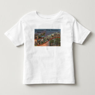 White Mountains, New Hampshire 3 Toddler T-Shirt