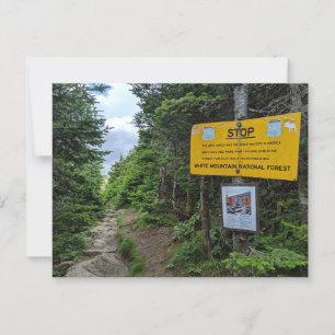 White Mountains New Hampshire Postcard