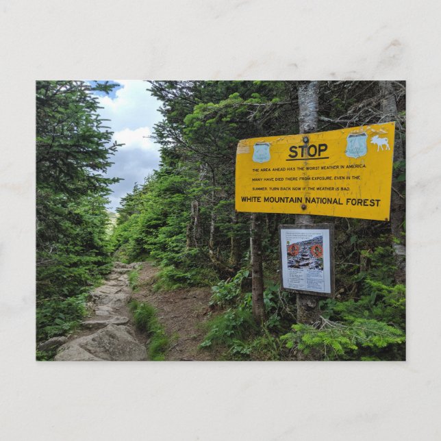 White Mountains New Hampshire Postcard (Front)