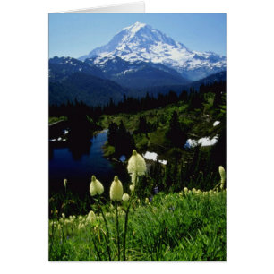 white Mt. Rainier flowers
