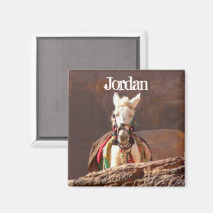 White Mule, Petra Jordan Magnet